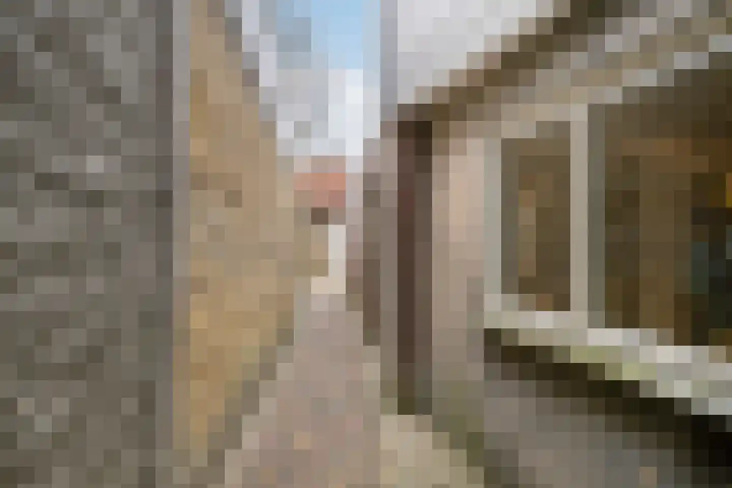 Hoenderweg 58 Sint-Annaland thumbnail 35