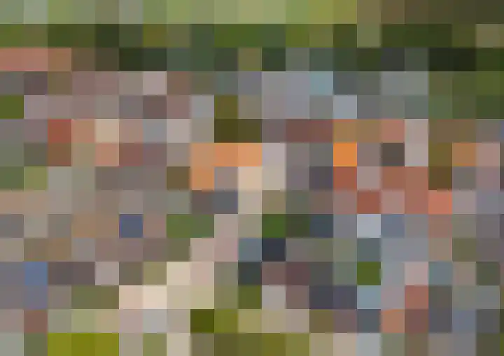 Hoenderweg 72 Sint-Annaland thumbnail 40