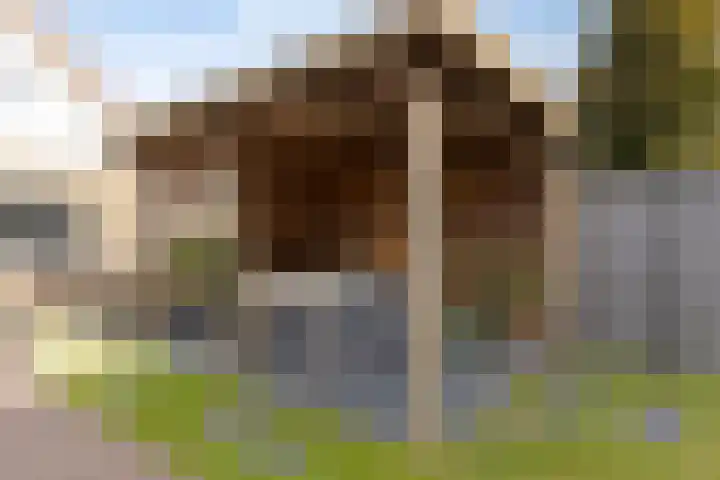 Hoenderweg 72 Sint-Annaland thumbnail 41