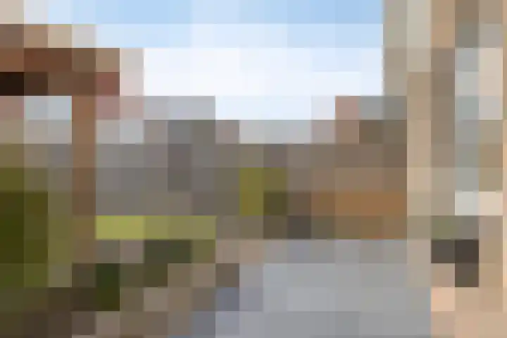 Hoenderweg 72 Sint-Annaland thumbnail 44