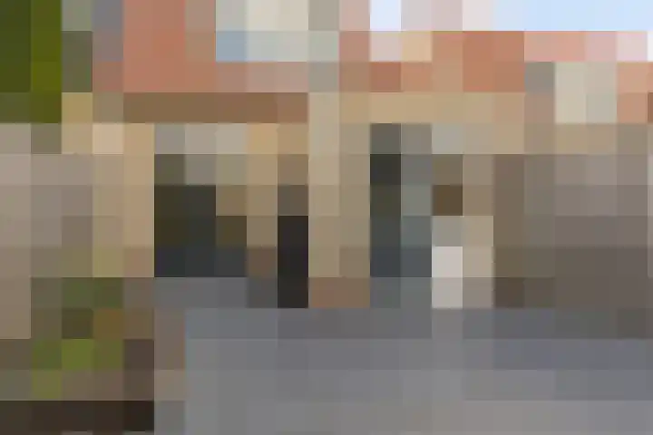 Hoenderweg 72 Sint-Annaland thumbnail 45