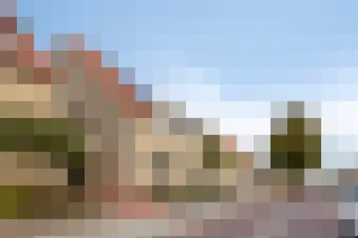 Hoenderweg 72 Sint-Annaland thumbnail 53