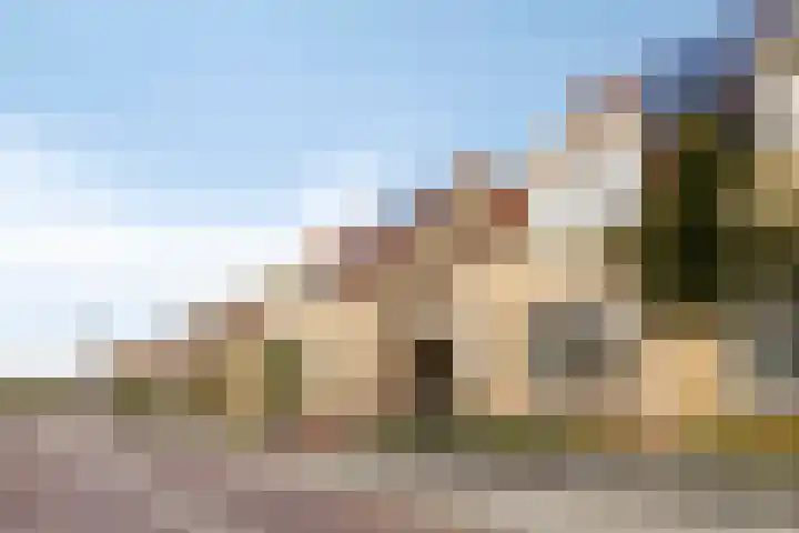 Hoenderweg 72 Sint-Annaland thumbnail 54