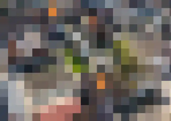 Hoenderweg 88 Sint-Annaland thumbnail 4