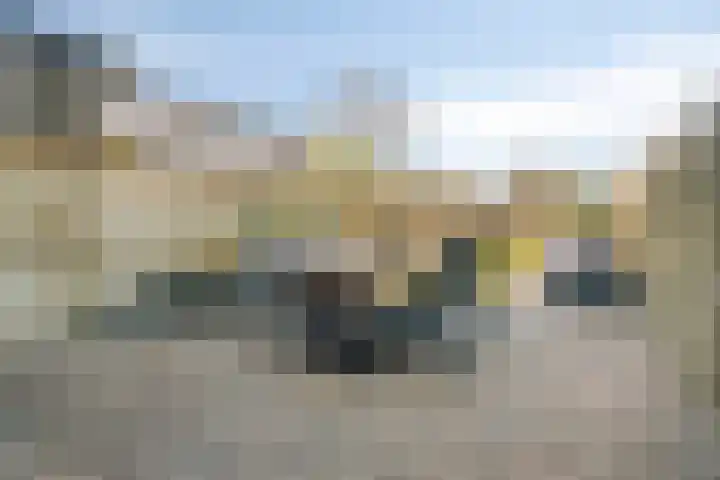 Hoenderweg 88 Sint-Annaland thumbnail 43