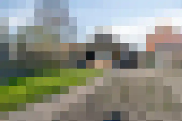 Hoenderweg 88 Sint-Annaland thumbnail 46