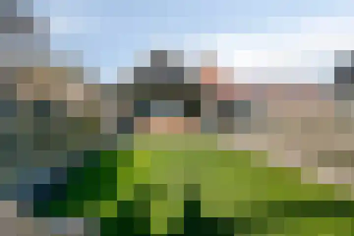 Hoenderweg 88 Sint-Annaland thumbnail 47