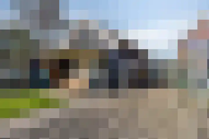Hoenderweg 88 Sint-Annaland thumbnail 48