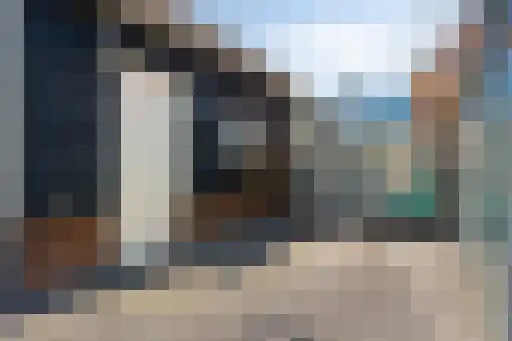 Hoenderweg 88 Sint-Annaland thumbnail 49