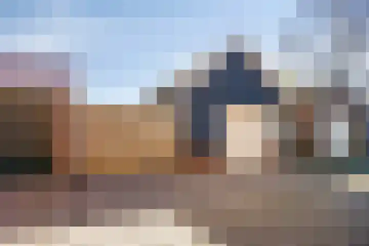 Hoenderweg 88 Sint-Annaland thumbnail 5