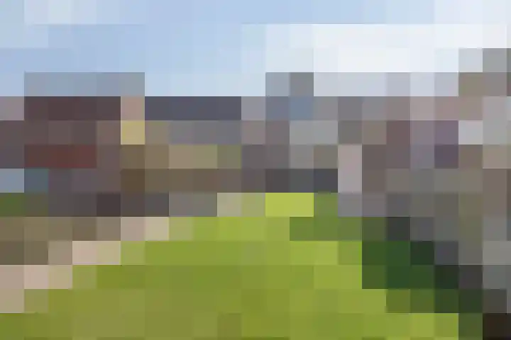 Hoenderweg 88 Sint-Annaland thumbnail 52