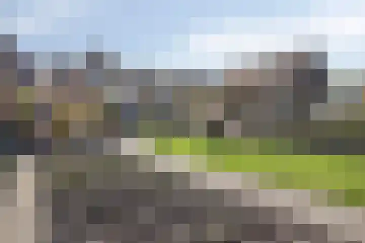 Hoenderweg 88 Sint-Annaland thumbnail 53