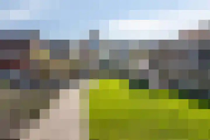Hoenderweg 88 Sint-Annaland thumbnail 54