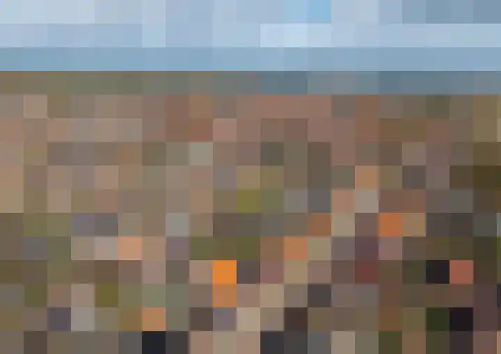 Hoenderweg 88 Sint-Annaland thumbnail 57