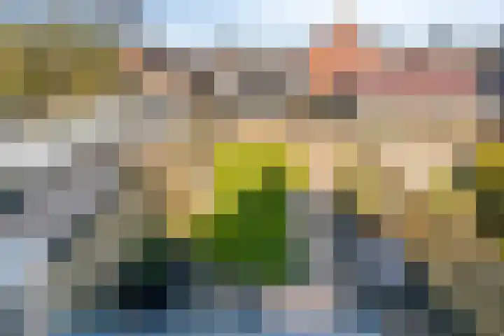 Hoenderweg 88 Sint-Annaland thumbnail 6