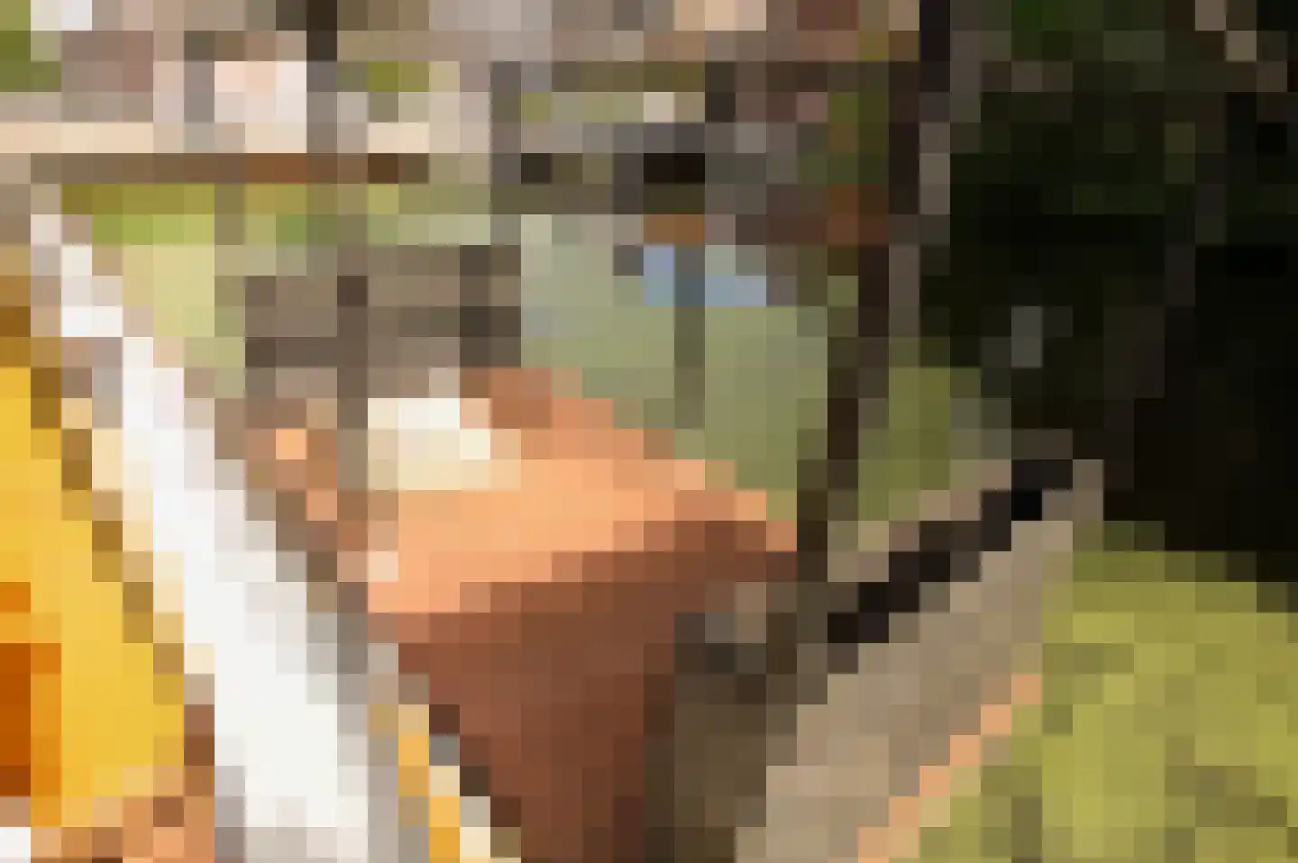 Hoendiep 1001 Groningen thumbnail 10