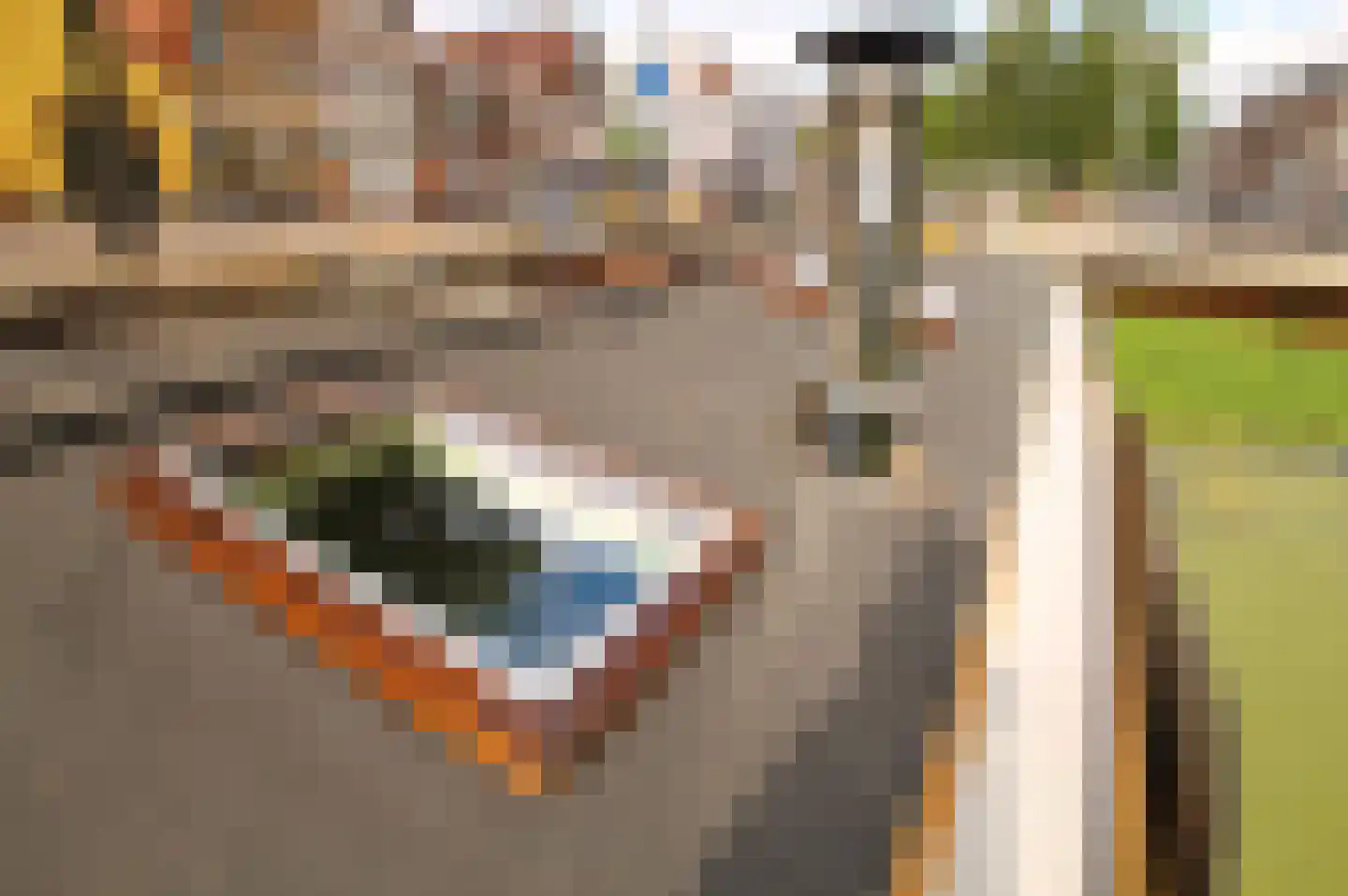 Hoendiep 1001 Groningen thumbnail 11