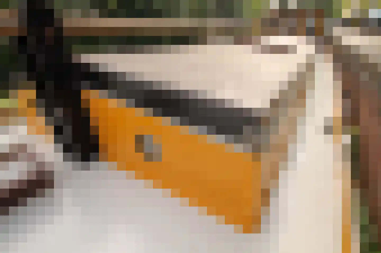 Hoendiep 1001 Groningen thumbnail 12