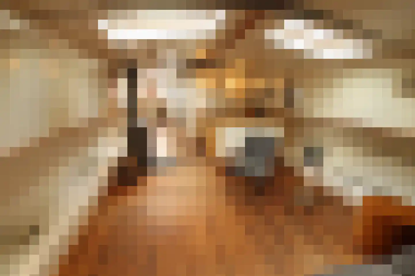 Hoendiep 1001 Groningen thumbnail 16