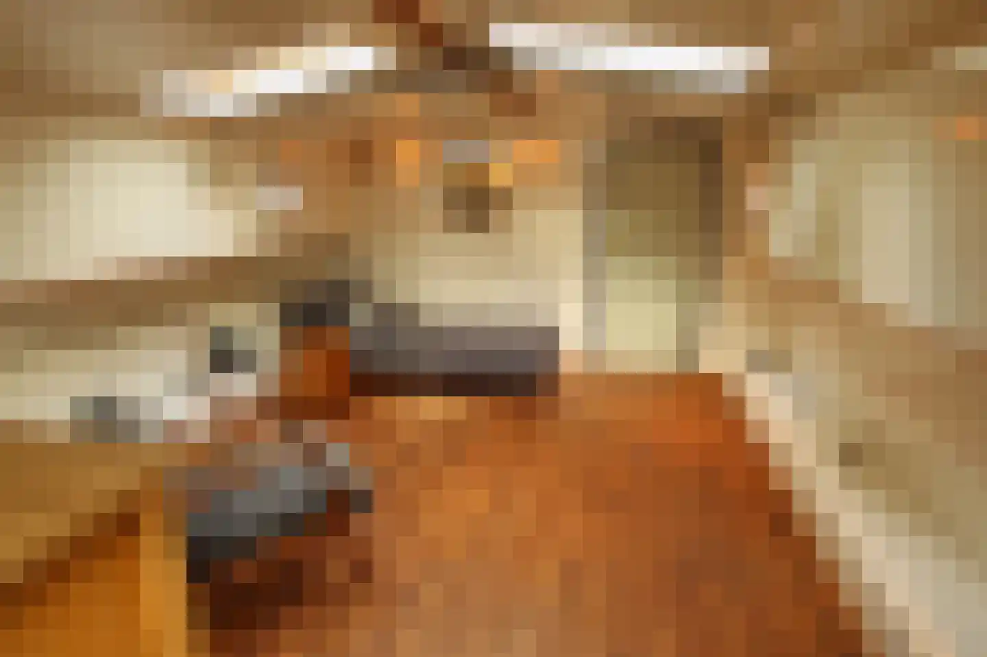 Hoendiep 1001 Groningen thumbnail 19