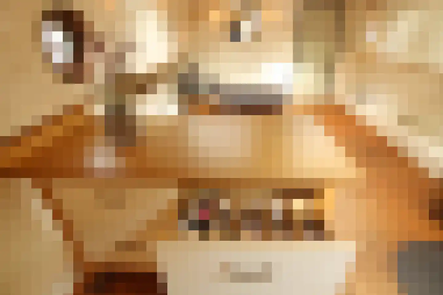 Hoendiep 1001 Groningen thumbnail 23