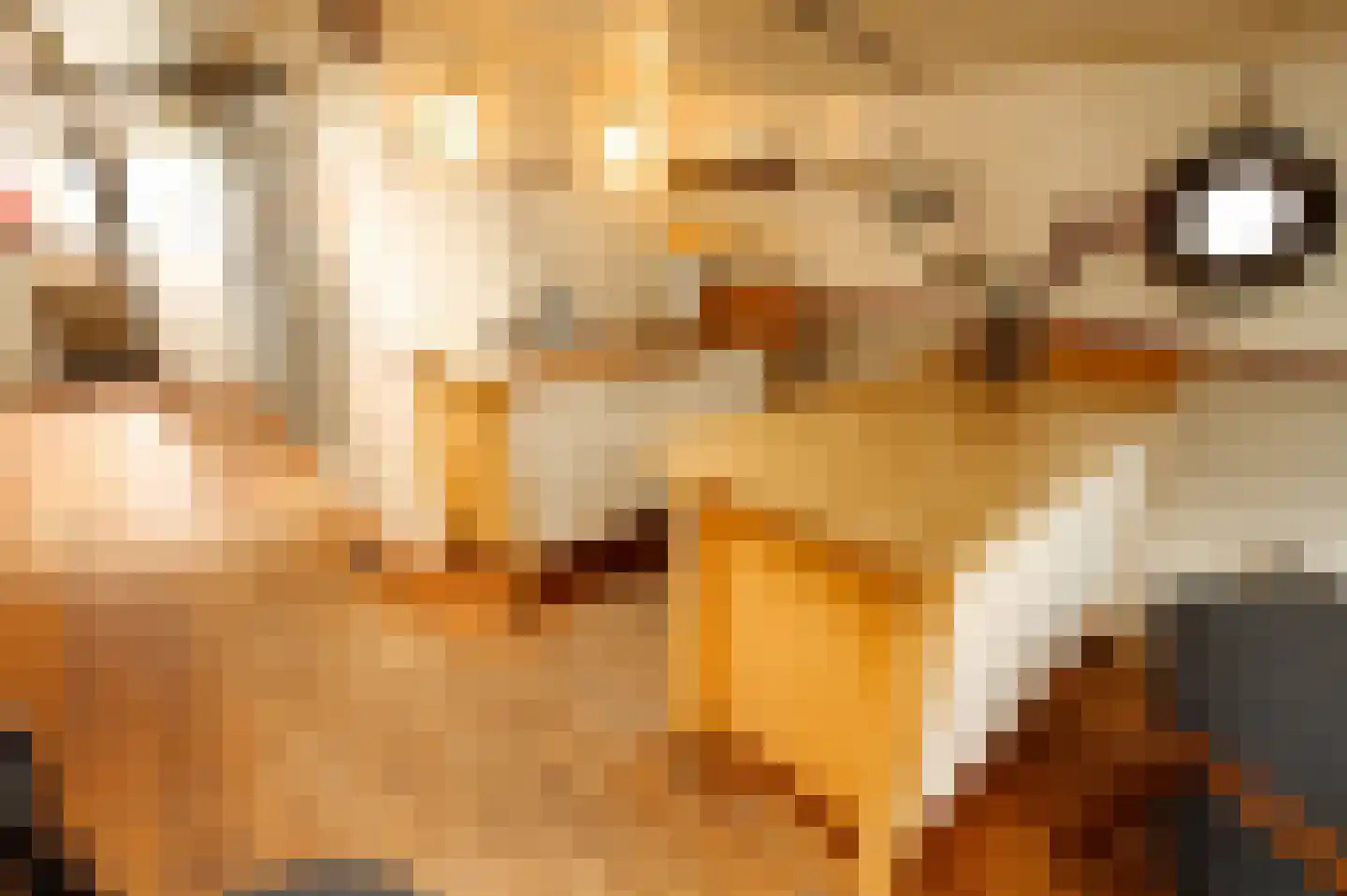 Hoendiep 1001 Groningen thumbnail 4