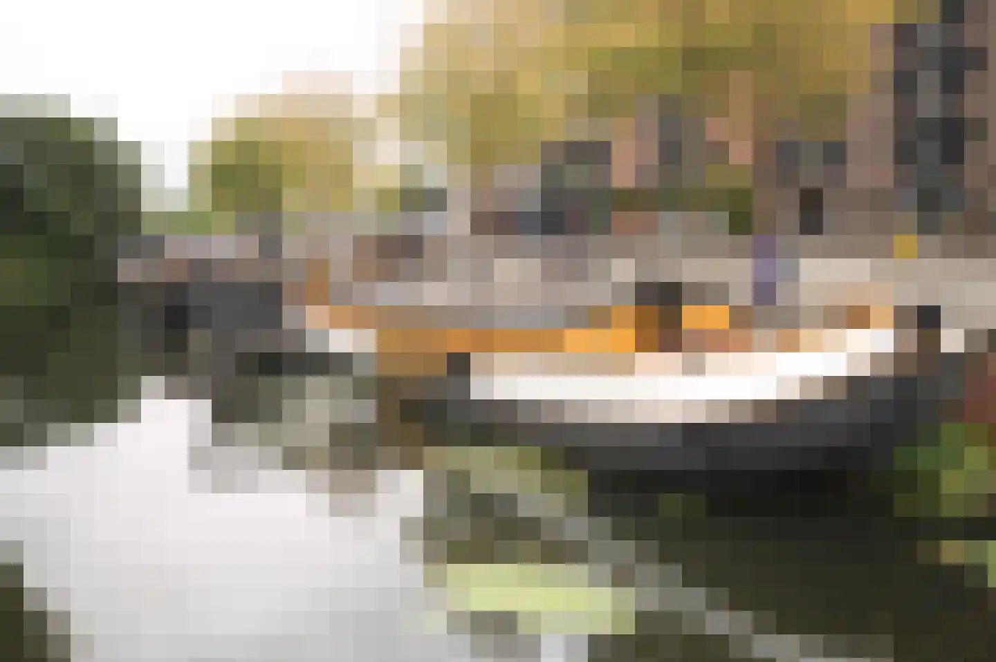 Hoendiep 1001 Groningen thumbnail 6
