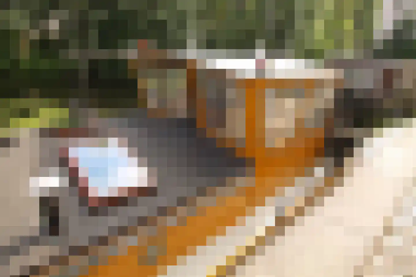 Hoendiep 1001 Groningen thumbnail 8