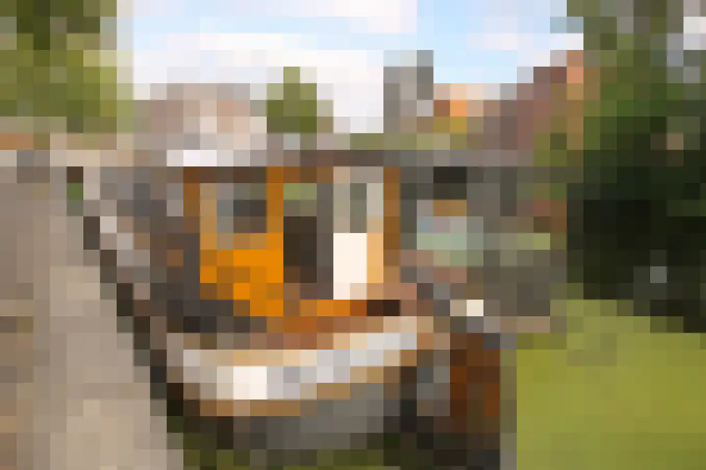 Hoendiep 1001 Groningen thumbnail 9