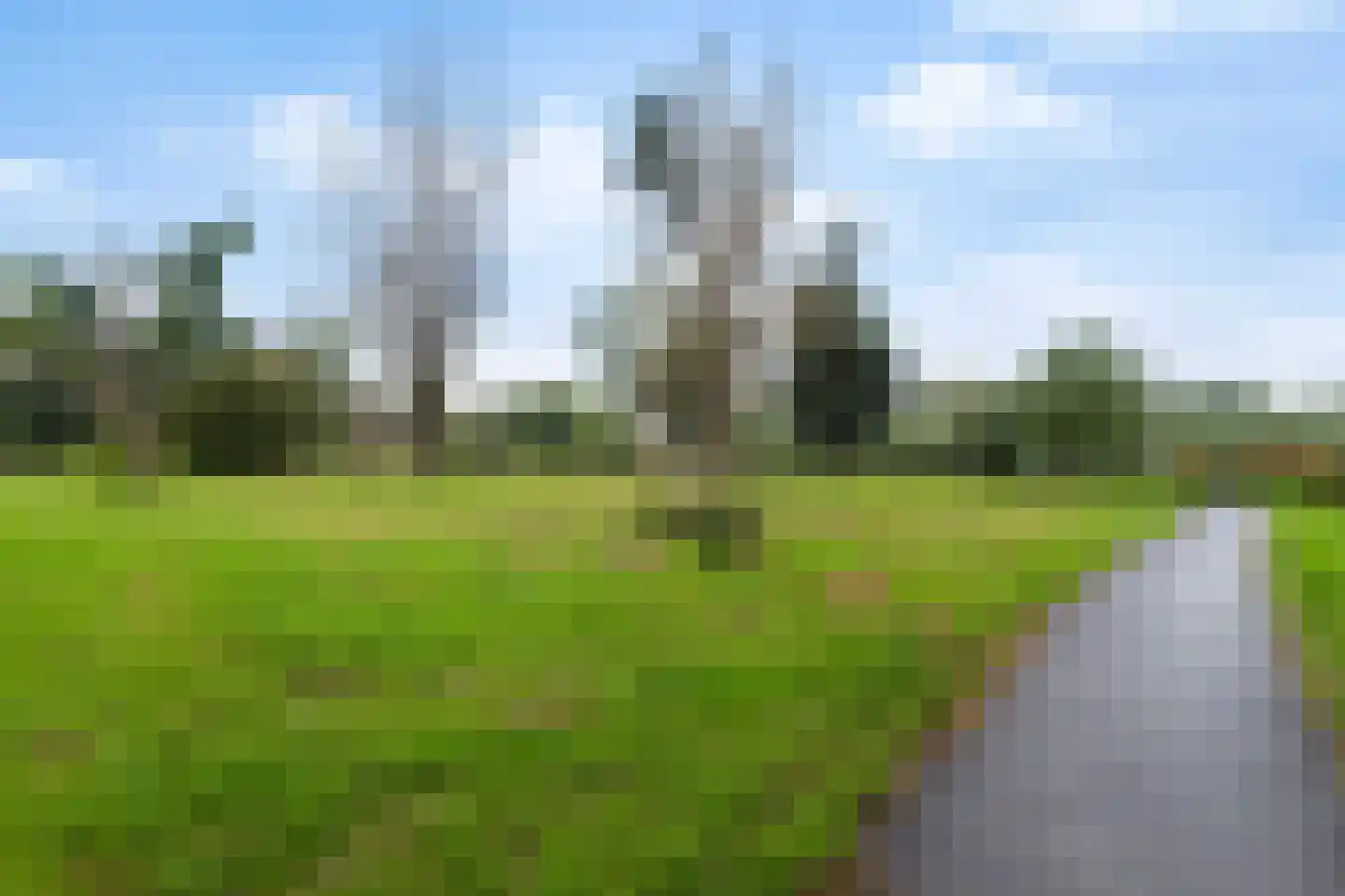 Hoendiep 11 Dordrecht thumbnail 48