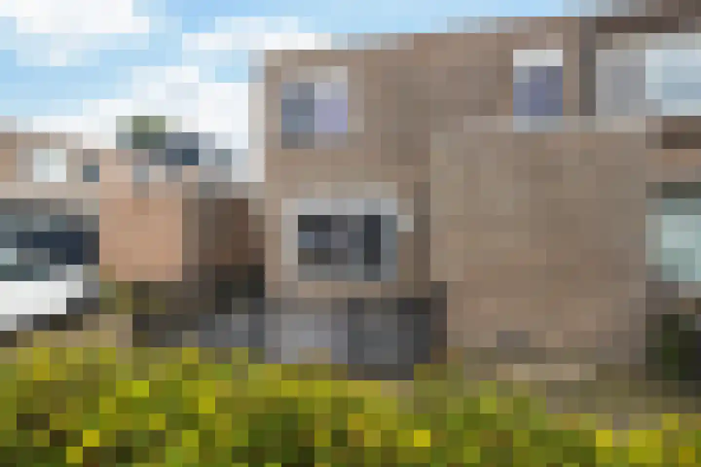 Hoendiep 11 Dordrecht thumbnail 52