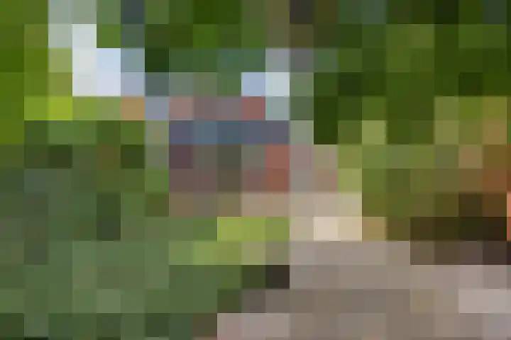 Hoendiep 114 Groningen thumbnail 43
