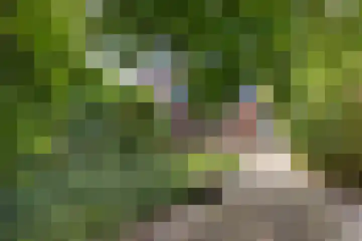 Hoendiep 114 Groningen thumbnail 44