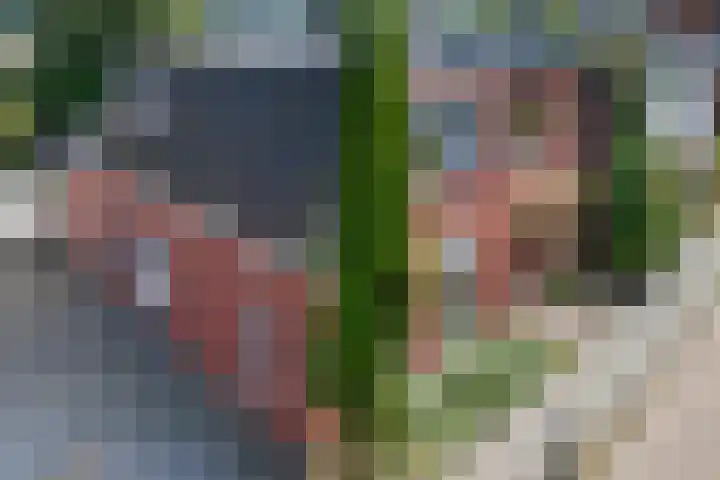 Hoendiep 114 Groningen thumbnail 49