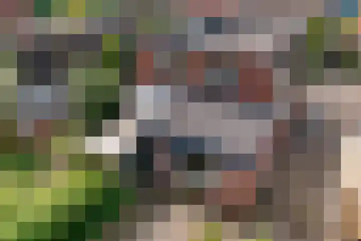 Hoendiep 114 Groningen thumbnail 5