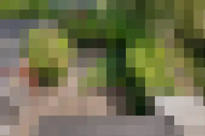 Hoendiep 114 Groningen thumbnail 52