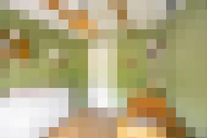 Hoendiep 116 Groningen thumbnail 29