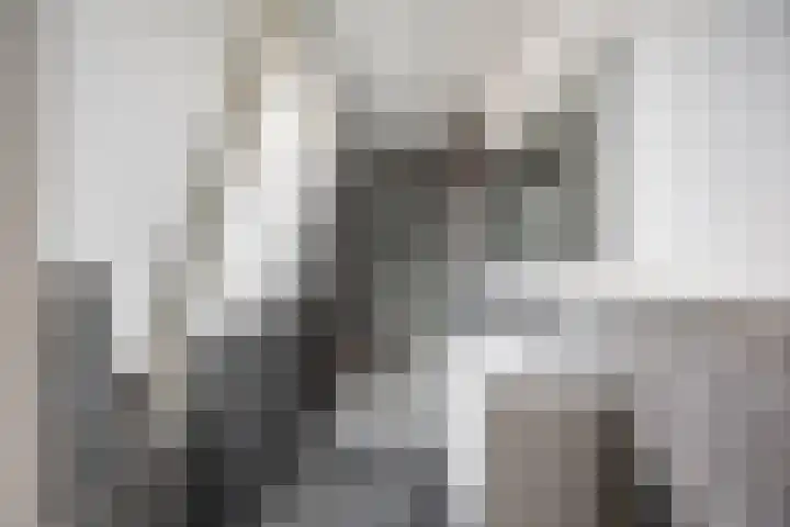 Hoendiep 116 Groningen thumbnail 31