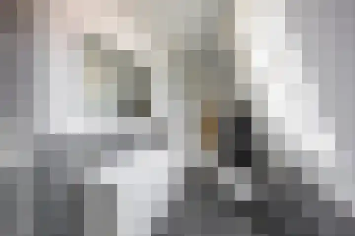 Hoendiep 116 Groningen thumbnail 33