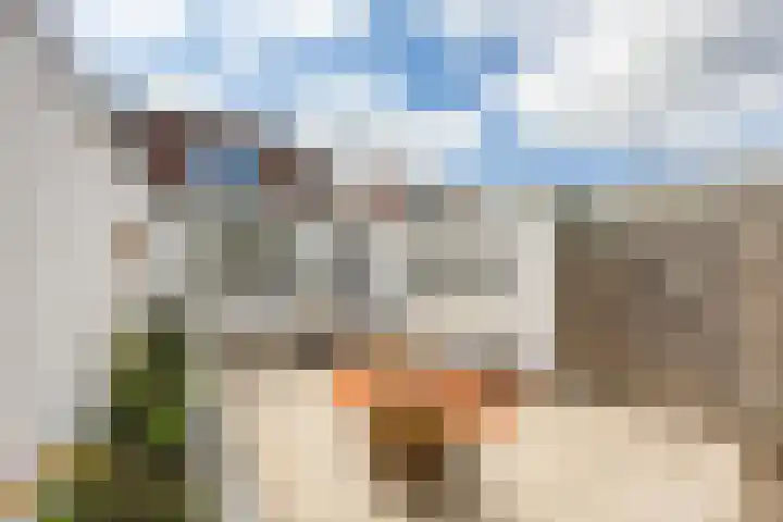 Hoendiep 116 Groningen thumbnail 35