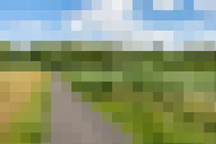 Hoendiep 116 Groningen thumbnail 41