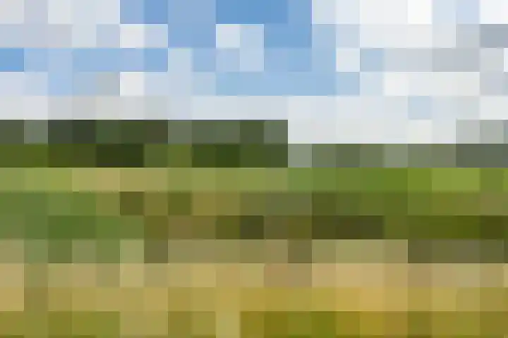 Hoendiep 116 Groningen thumbnail 42