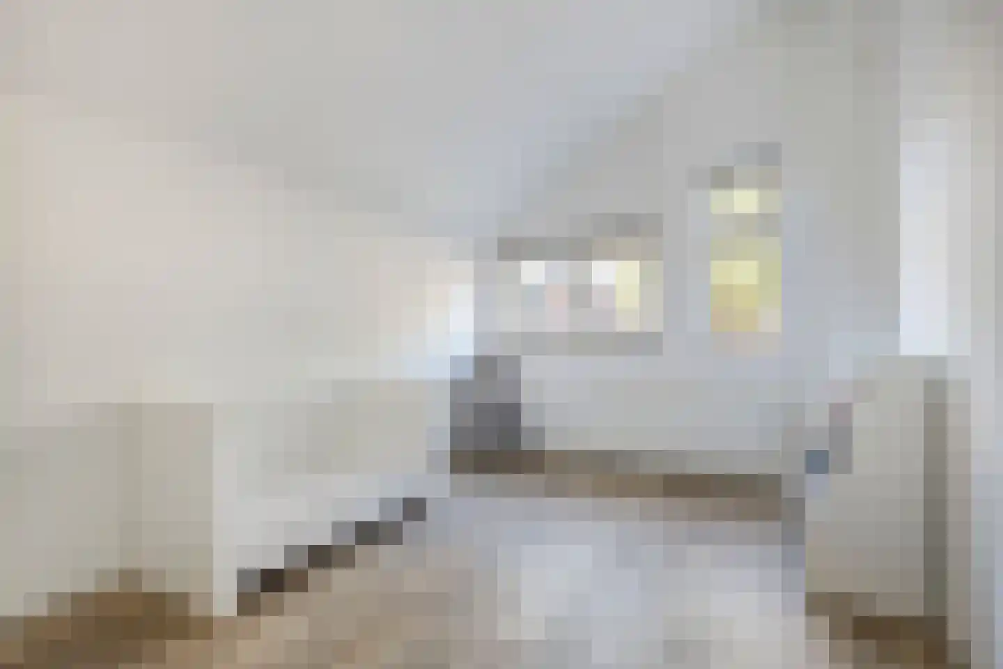 Hoendiep 14 Zaandam thumbnail 23