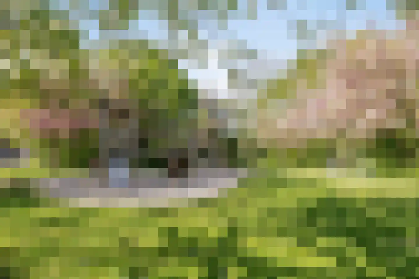 Hoendiep 14 Zaandam thumbnail 34