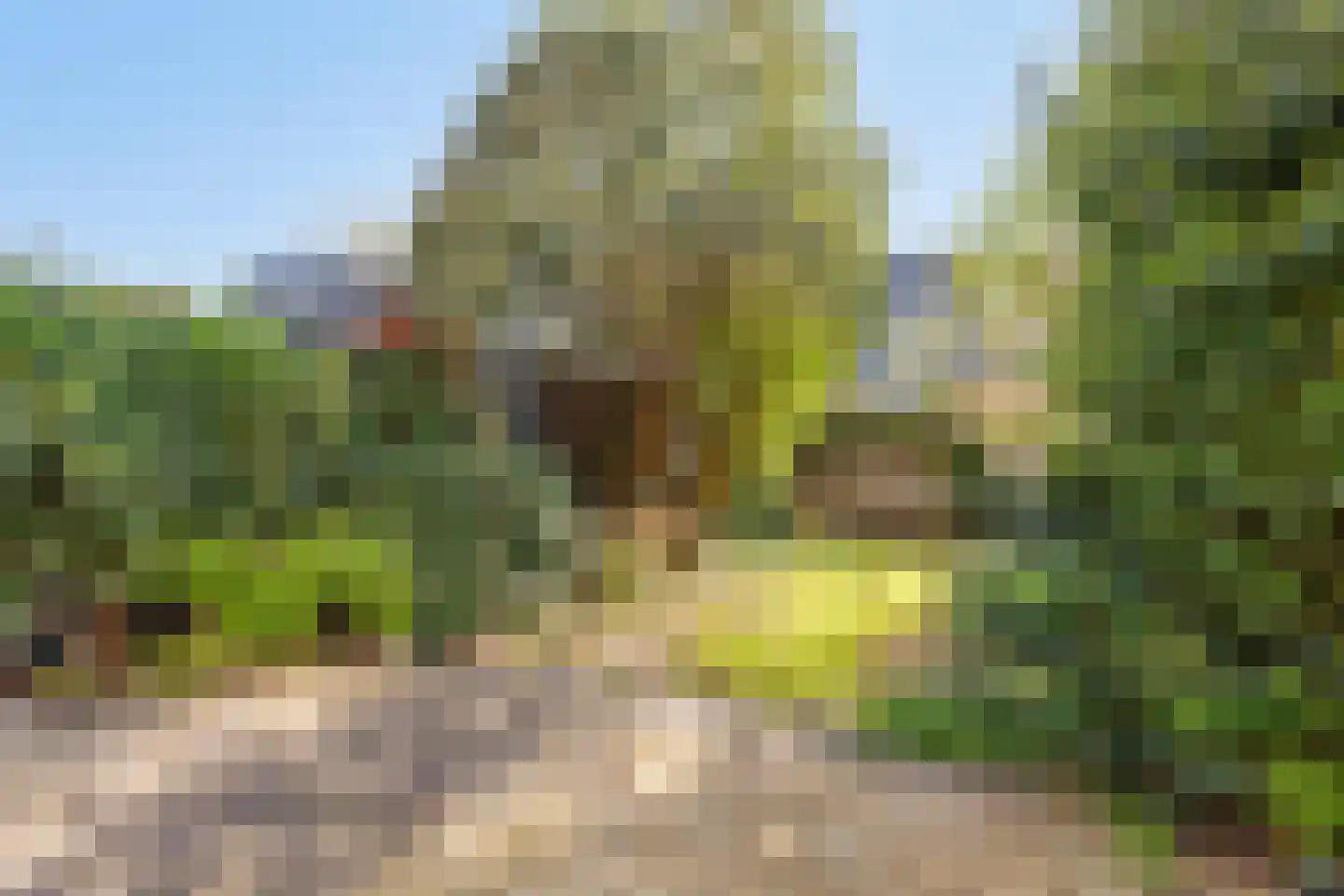 Hoendiep 14 Zaandam thumbnail 4