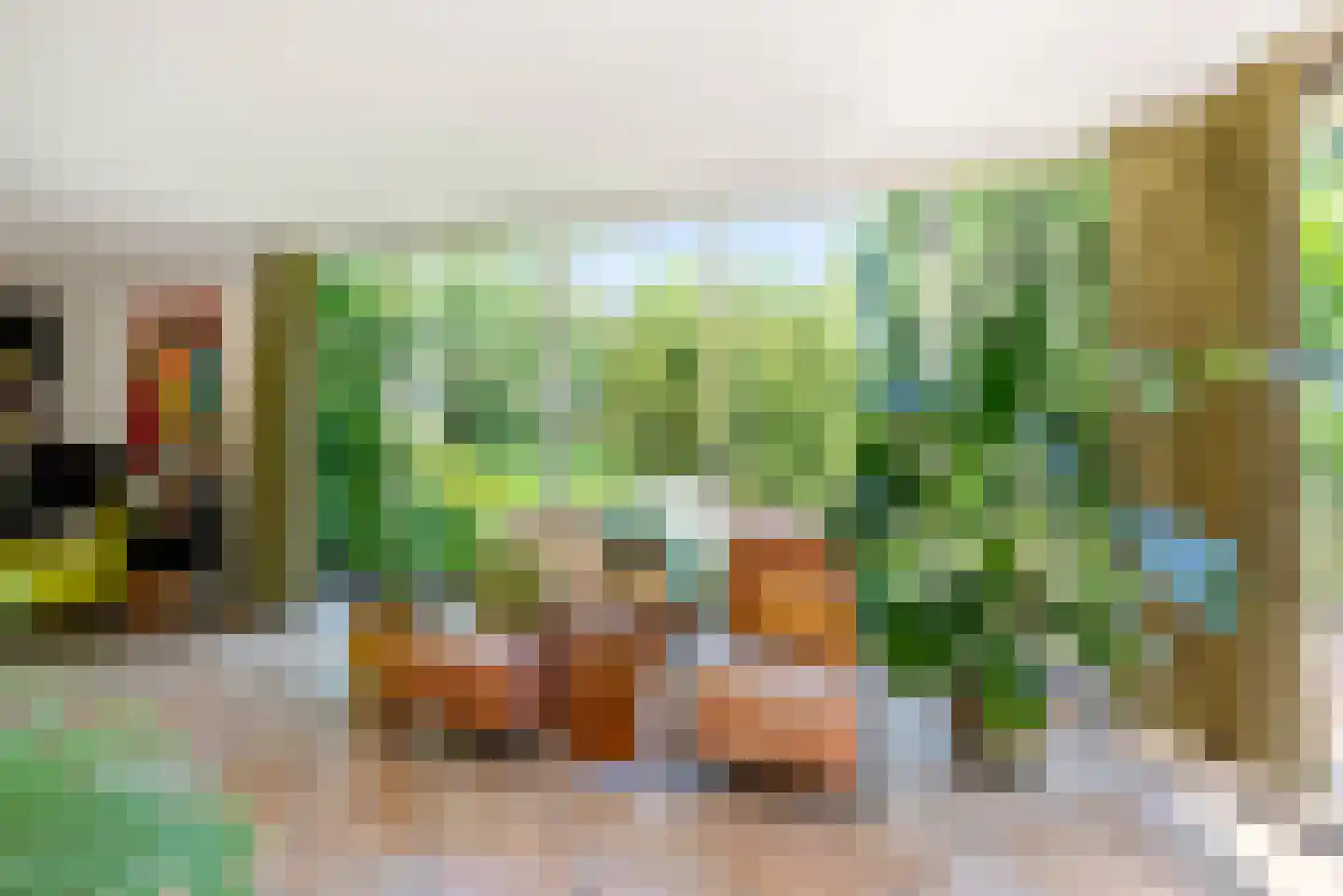 Hoendiep 15 Zaandam thumbnail 11