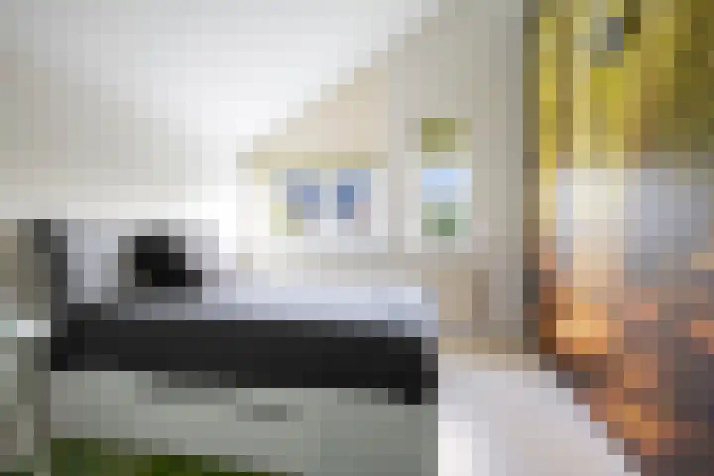 Hoendiep 15 Zaandam thumbnail 46