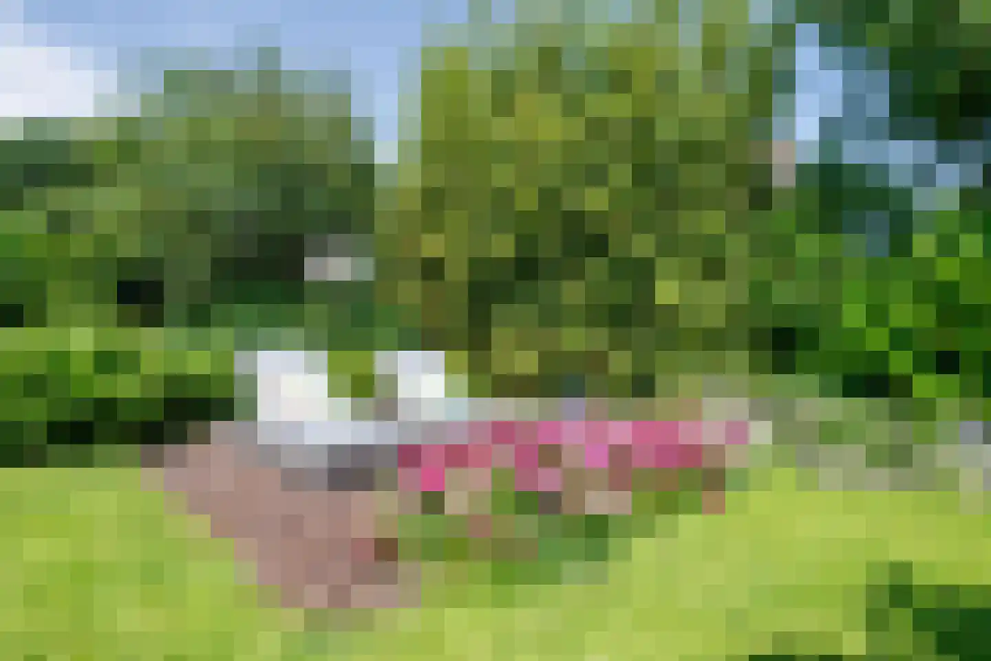 Hoendiep 15 Zaandam thumbnail 57