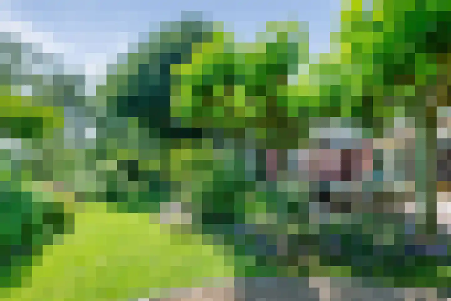 Hoendiep 15 Zaandam thumbnail 60