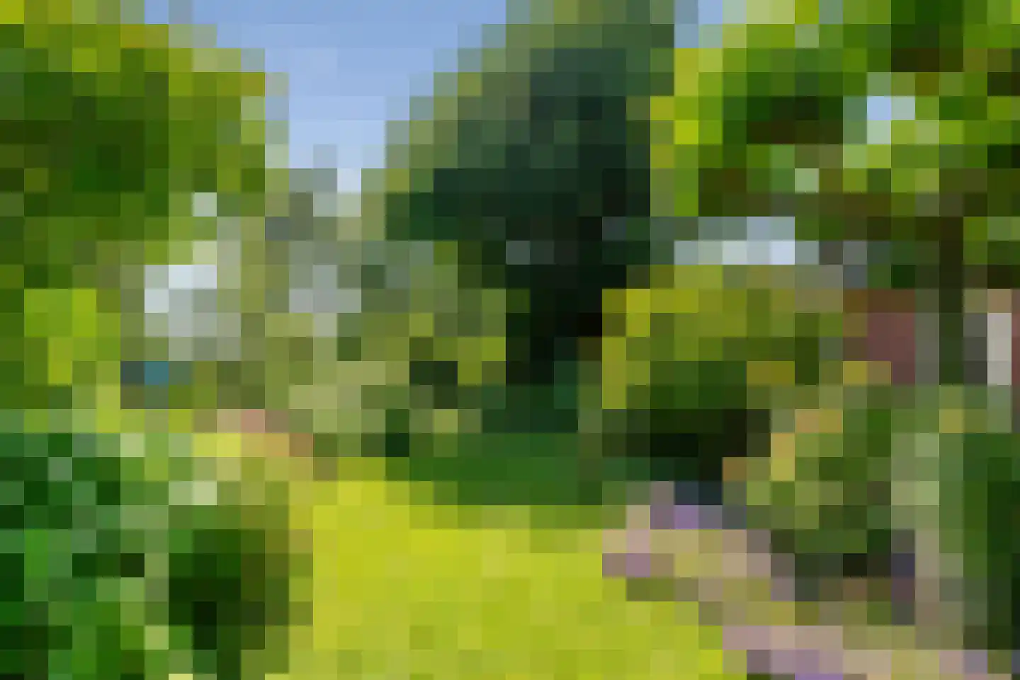 Hoendiep 15 Zaandam thumbnail 62